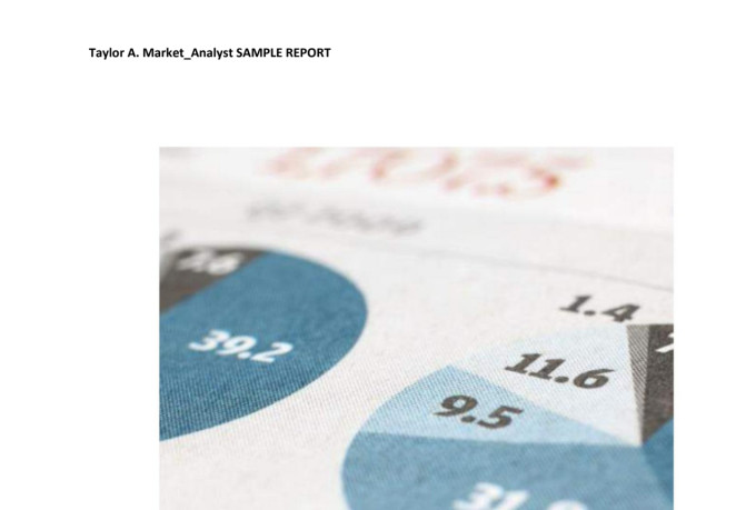 do market research, competitor analysis and niche research